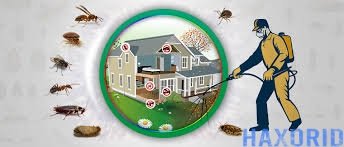 pestcontrol 2.jpeg