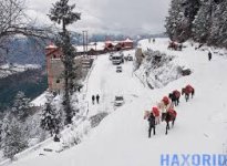Taxi Service for Shimla.jpg