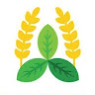 amoli.intltraders